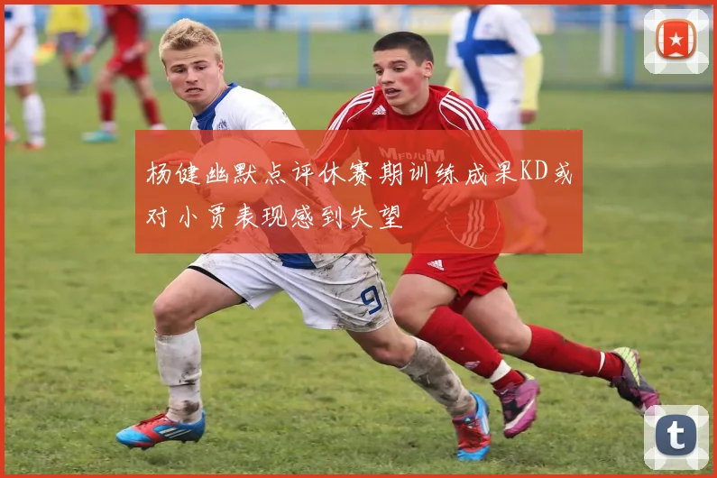 杨健幽默点评休赛期训练成果KD或对小贾表现感到失望
